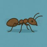Ants on the Move