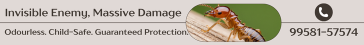 🛑 Invisible Enemy, Massive Damage – Get Expert Termite Control Today