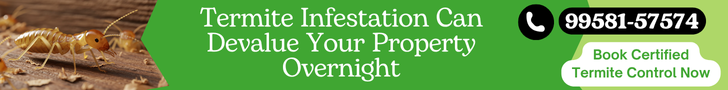 🚫 Termite Infestation Can Devalue Your Property Overnight – Protect Your Investment Today