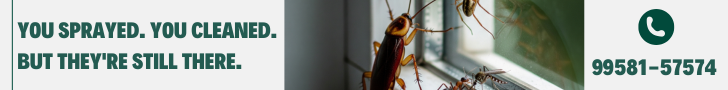 You Sprayed. You Cleaned. But They're Still There – Book Your  Pest Inspection Today with Pestofix