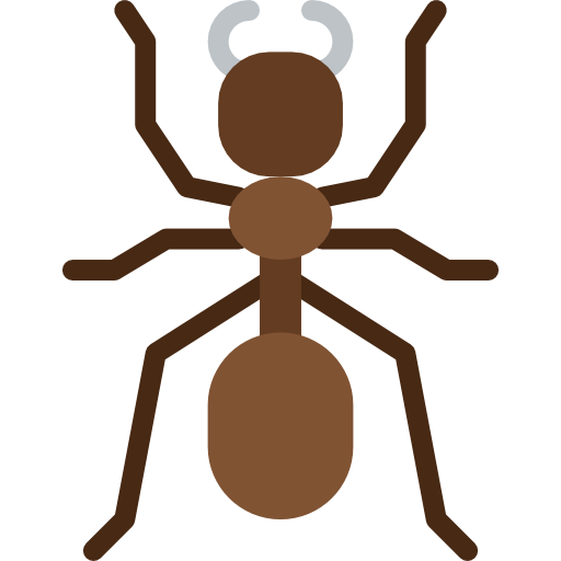 Ant Pest Control