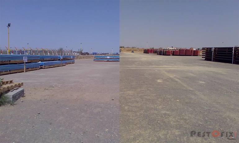 Large-scale anti-termite treatment at Sumitomo Corporation Barmer facility