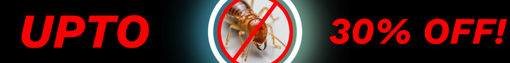 Best termite control offer — up to 30% off