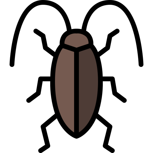 Cockroach Pest Control