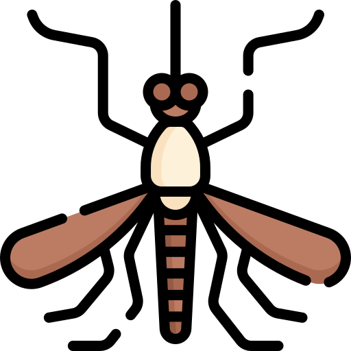 Mosquito Pest Control
